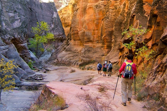 Zion  Bryce Canyon Hiking  Upscale Camping | Travel with REI