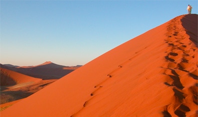 Namibia Safari & Hiking: See Etosha & Sossusvlei | Travel With REI