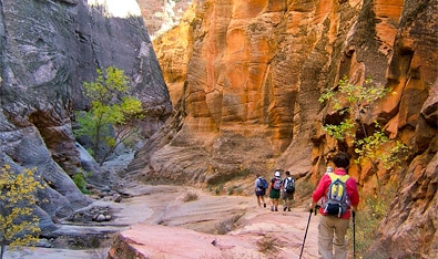 Zion  Bryce Canyon Hiking  Upscale Camping | Travel with REI