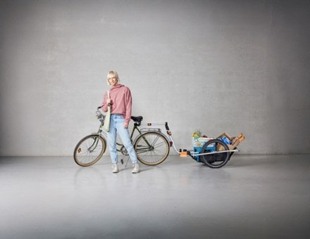 Thule Reacha City Bike Trailer 2