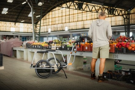 Thule Reacha City Bike Trailer 6