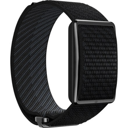 Polar Loop 2