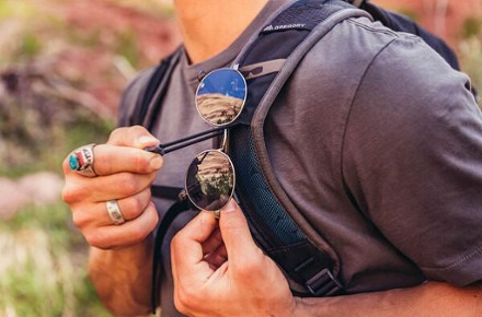 Gregory Citro 30 Pack 6