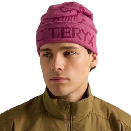 Arc'teryx Bird Word Toque 1