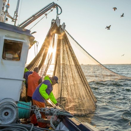 Patagonia Provisions Sardines and Beans 5