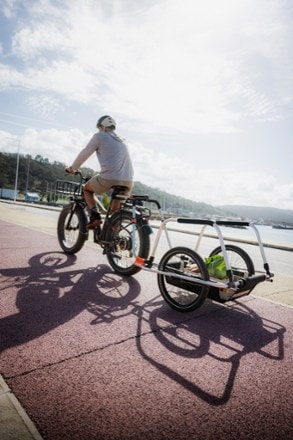 Thule Reacha City Bike Trailer 5