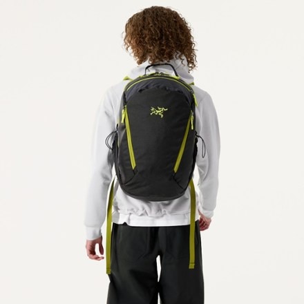 Arc'teryx Mantis 26 L Pack 1
