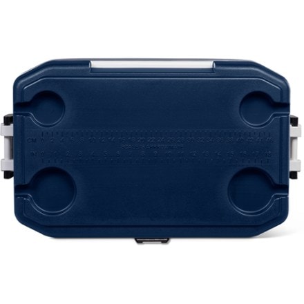 Igloo MaxCold Latitude 54-Quart Cooler 7