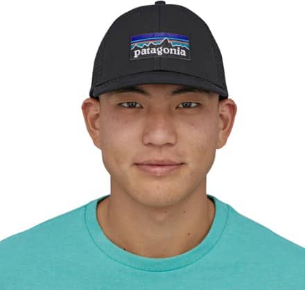 Patagonia P-6 Logo LoPro Trucker Hat 1