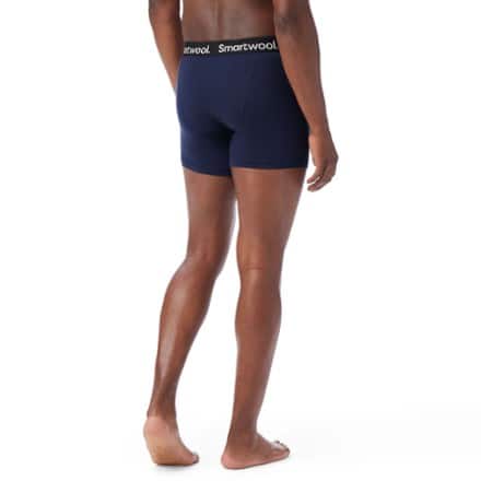 Smartwool Merino Boxer Briefs - Boxed - Men's 2