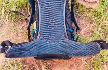 Gregory Citro 30 Pack 9