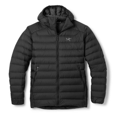 Arc'teryx Cerium Down Hoody - Men's 0