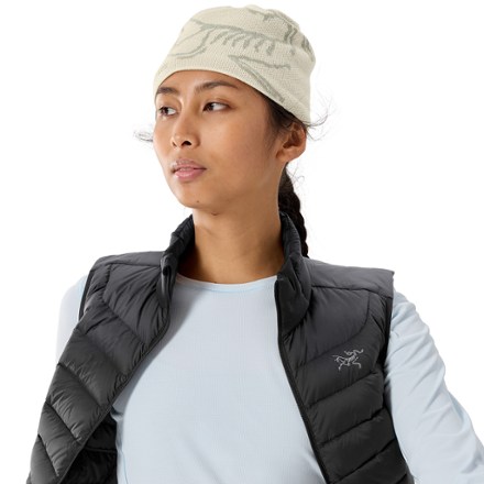 Arc'teryx Bird Head Toque Beanie 4