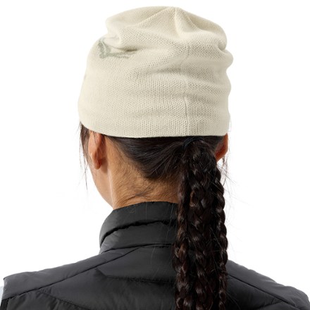 Arc'teryx Bird Head Toque Beanie 2