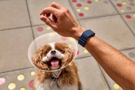 Garmin CIRQA Smart Band 5