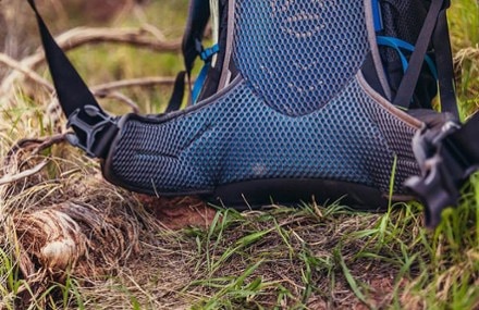 Gregory Citro 30 Pack 10