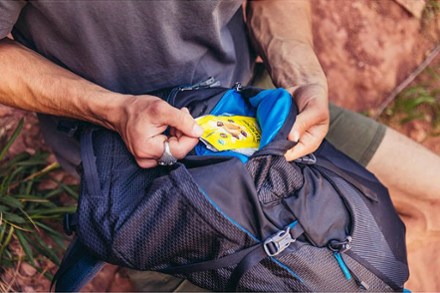 Gregory Citro 30 Pack 4