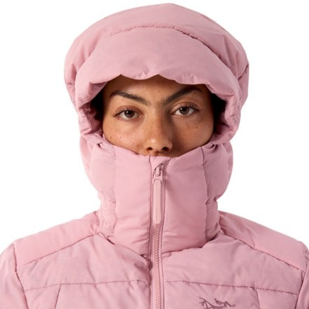 Arc'teryx Thorium Down Hoody - Women's 5