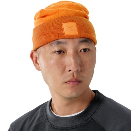 Arc'teryx Color Block Toque 1