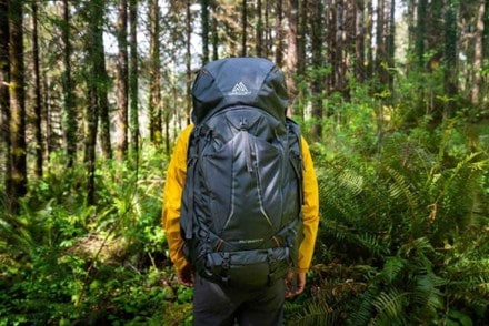 Gregory Baltoro 100 Pro Pack - Men's 5