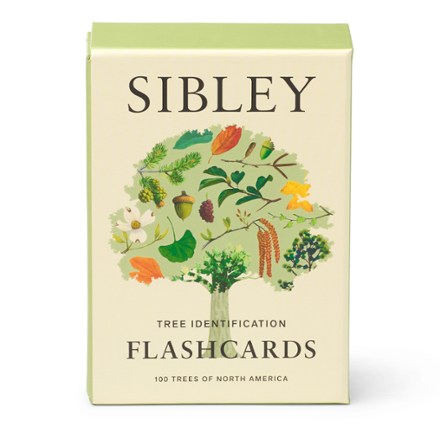 Clarkson Potter Sibley Tree Flash Cards 2