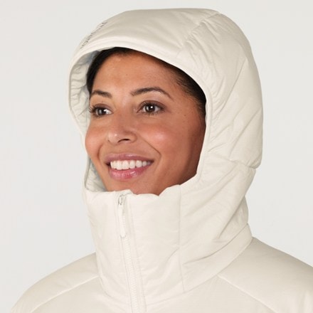 Arc'teryx Atom SV Insulated Hoody - Women's 4