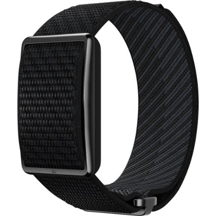 Polar Loop 0
