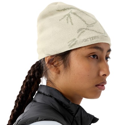 Arc'teryx Bird Head Toque Beanie 3