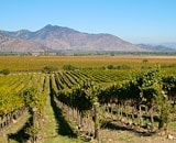 Argentina and Chile: Wine Roads of the Andes Cycle