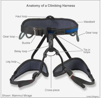 Anatomy of a climbing harness