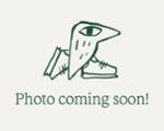 Waterproof Jackets and Pants: Women's Rain Pants  : Marmot PreCip Full-Zip Rain Pants - Women's