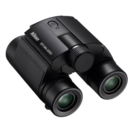 Stabilized x 25 S Binoculars