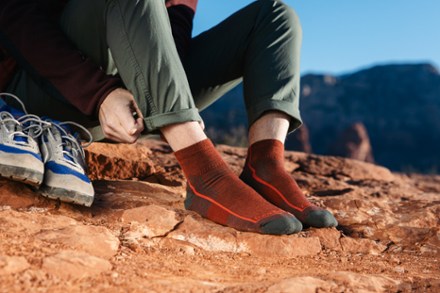 Hiker Quarter Cushion Socks - Men's