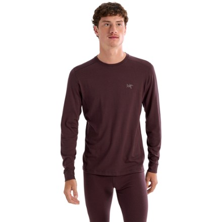 Rho Merino Wool Crew Neck Base Layer Top - Men's