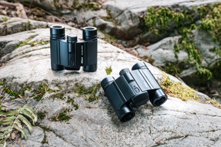 Stabilized x 25 S Binoculars