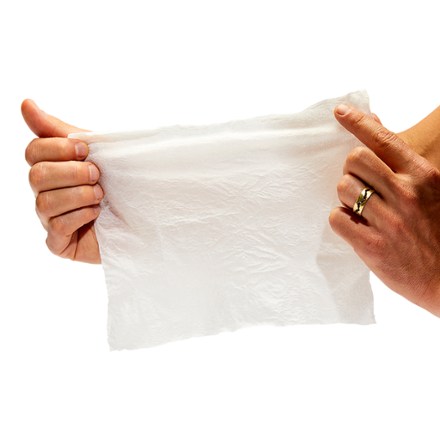 Bathroom Wipes - Package of 100