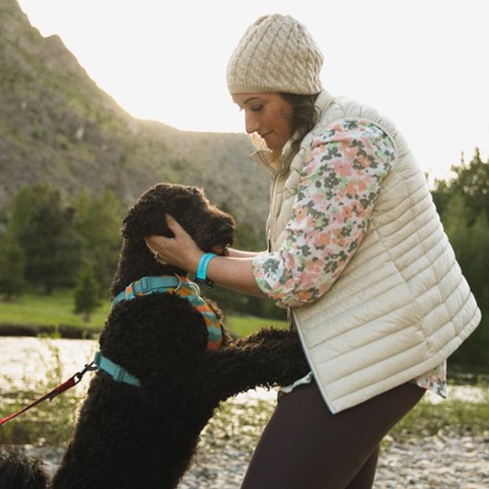 Front Range Dog Harness