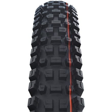 Albert Trail Pro Tire - ADDIX Soft - 29