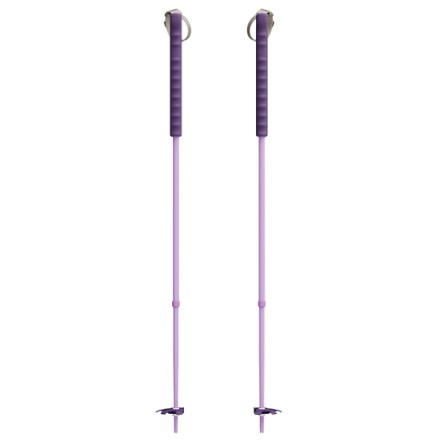 P2 Ski Poles - Pair