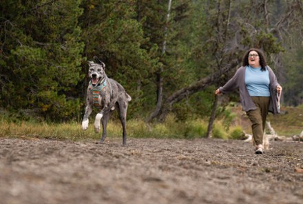 Front Range Dog Harness