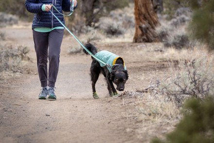 Roamer Leash