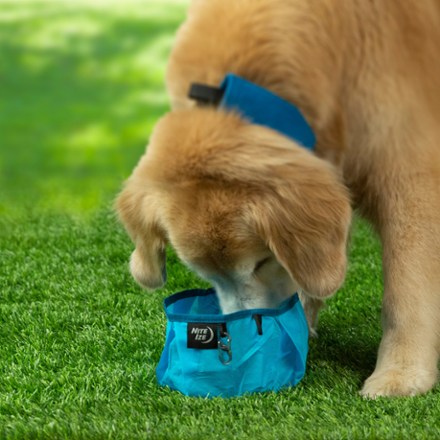 RadDog Collapsible Dog Bowl