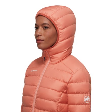 Waymarker Hooded Down Jacket - Women's