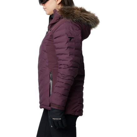 Bird Mountain Insulated Jacket - Women's