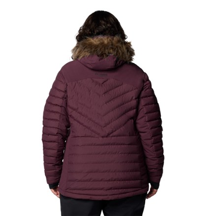 Bird Mountain Insulated Jacket - Women's