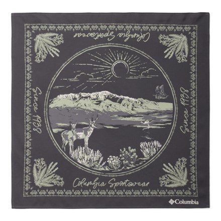 Skien Valley Bandana