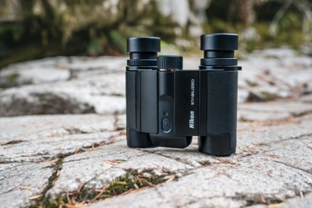 Stabilized x 25 S Binoculars