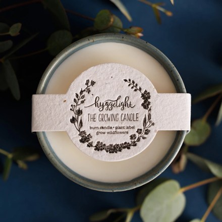 Willow Candle - Apple/Pine Scent