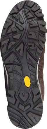 Alterra GTX Hiking Boots - Men's