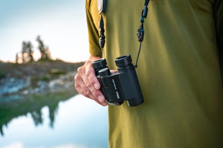 Stabilized x 25 S Binoculars